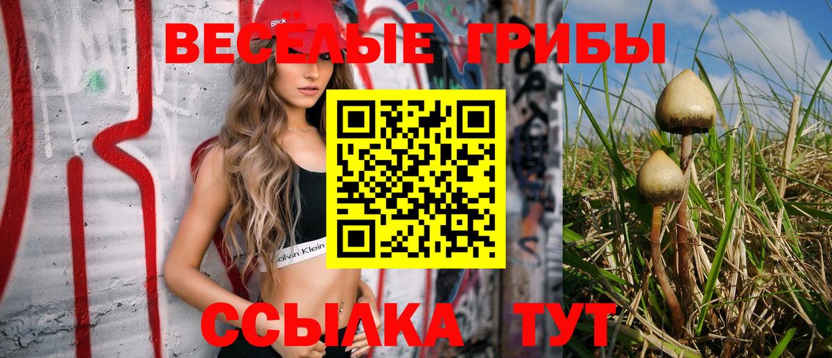 Галлюциногенные грибы GOLDEN TEACHER Аксай